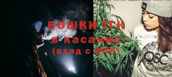 дживик Аркадак