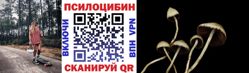 купить  сайты  Полысаево  Псилоцибиновые грибы прущие грибы 